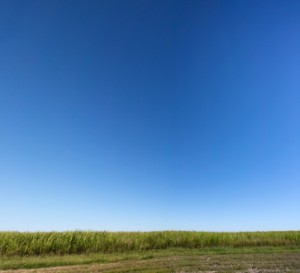 Open-Space Leadership: When Less is More thumbnail