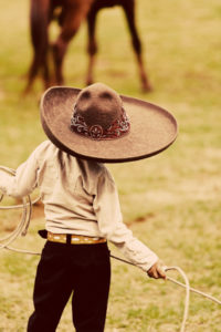 Recognition Rodeo: More Insights From The Online Community thumbnail