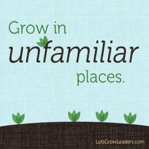 Volunteer and Grow? Side Effects of Volunteering thumbnail