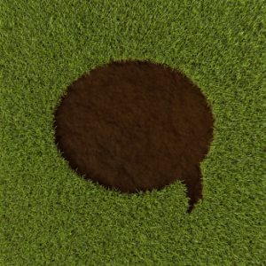 iStock 000020991775XSmall 300x300 Less is Less:  The Problem with Soundbites