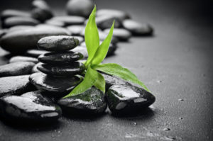 Managing Up When You’re Down: The Power of POISE thumbnail