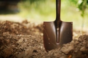 The Turnaround Factor: Digging Deeper thumbnail