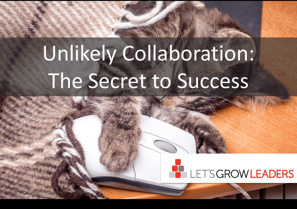 Unlikely Collaboration: The Secret To Success