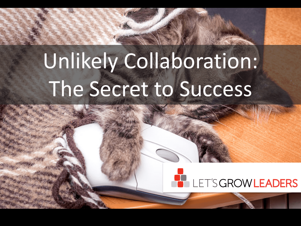 Unlikely Collaboration-The Secret to Success