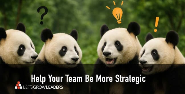 7 strategic questions your team should be able to answer