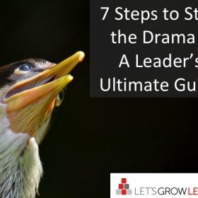 stop the drama - a leaders guide