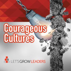 Leading Courageous Cultures