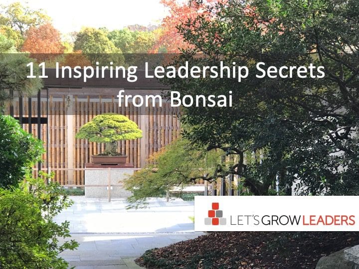 11 Inspiring Leadership Secrets from Bonsai