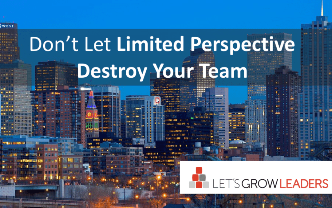 Don’t Let Limited Perspective Destroy Your Team