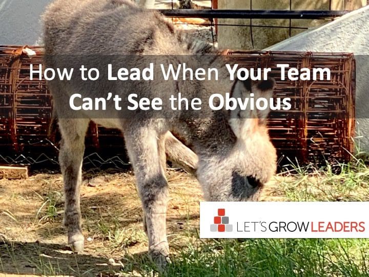 how to lead when your team can't see the obvious