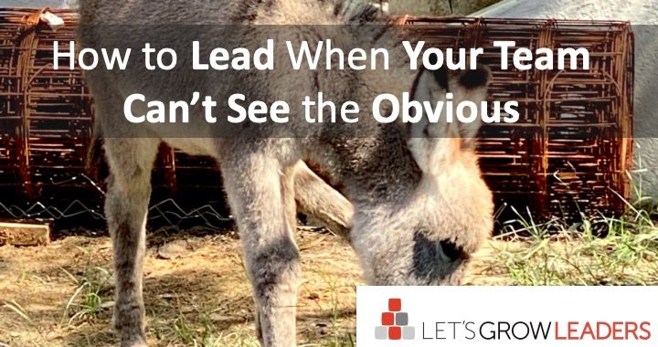 how to lead when your team can't see the obvious