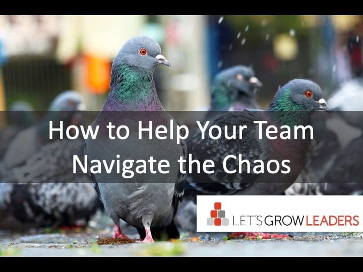 How to Help Your Team Navigate the Chaos