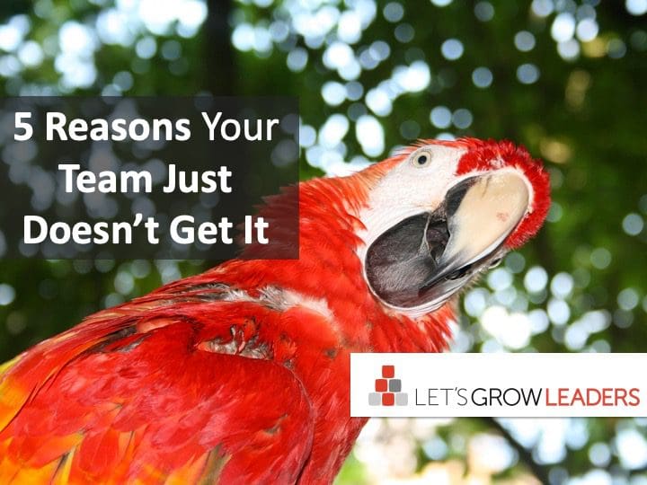 5 Reasons Your Team Just Doesn't Get It