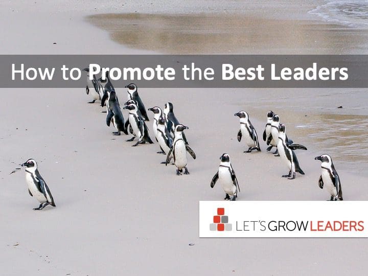 How to Promote the Best Leaders