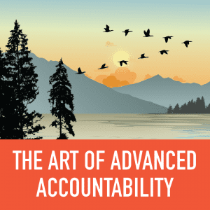 virtual leadership training - the art of accountability