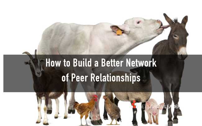 How to Build a Better Network of Peer Relationships