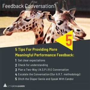 provide meaningful performance feedback