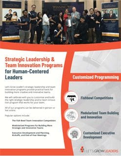 strategic leadership and innovation