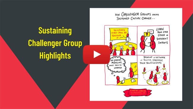 leadership development programs sustain culture change in challenger groups