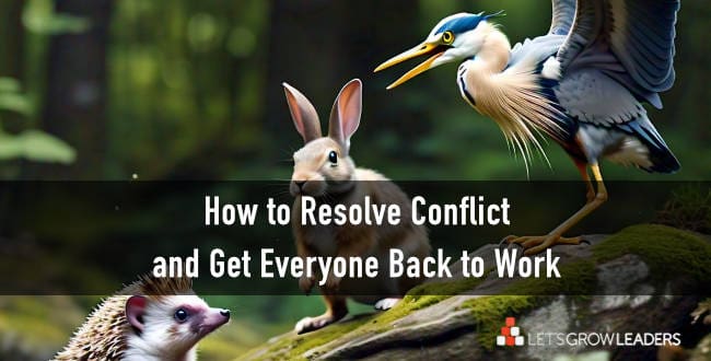 How to Deal with Team Conflict and Get Everyone Back to Work