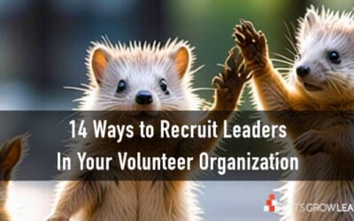 How To Recruit Leaders In Your Volunteer Organization