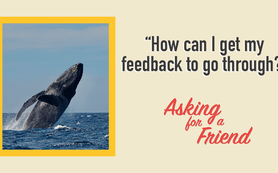 Better Feedback: The Secret to Giving (and Getting) Better Feedback