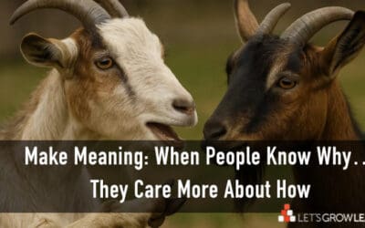 Make Meaning: Because When People Know Why, They Care More About How