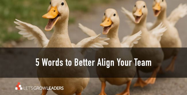 5 words to better align your team