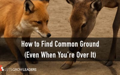 How to Find Common Ground (With Video)