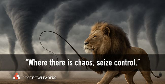 where there is chaos seize control