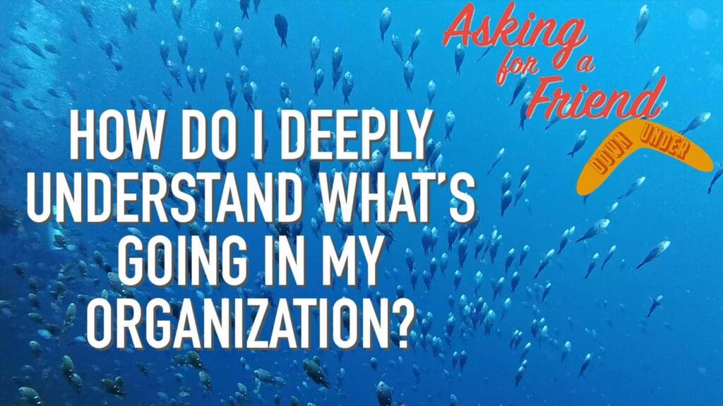 How to Host a Curiosity with Karin Hurt