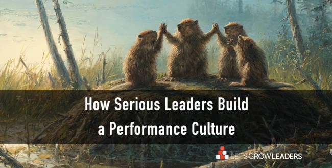 performance culture